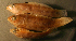  ( - h83tp360)  @11 [ ] CreativeCommons - Attribution Non-Commercial Share-Alike (2012) Benjamin Victor Benjamin Victor