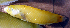  ( - jap14hc490)  @12 [ ] CreativeCommons - Attribution Non-Commercial Share-Alike (2014) Benjamin Victor Benjamin Victor