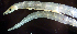  ( - l13n31123)  @12 [ ] CreativeCommons - Attribution Non-Commercial Share-Alike (2013) Benjamin Victor Benjamin Victor