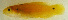  ( - me13bb)  @12 [ ] CreativeCommons - Attribution Non-Commercial Share-Alike (2014) Benjamin Victor Benjamin Victor