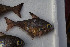 ( - me14mpa2)  @13 [ ] CreativeCommons - Attribution Non-Commercial Share-Alike (2014) Benjamin Victor Benjamin Victor
