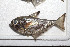  ( - me14mpw1)  @13 [ ] CreativeCommons - Attribution Non-Commercial Share-Alike (2014) Benjamin Victor Benjamin Victor