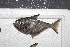  ( - me14mpw2)  @12 [ ] CreativeCommons - Attribution Non-Commercial Share-Alike (2014) Benjamin Victor Benjamin Victor