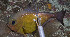  ( - me14pv1)  @11 [ ] CreativeCommons - Attribution Non-Commercial Share-Alike (2014) Benjamin Victor Benjamin Victor