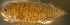  ( - n7528asc233)  @12 [ ] CreativeCommons - Attribution Non-Commercial Share-Alike (2012) Benjamin Victor Benjamin Victor