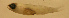  ( - n7530ach70)  @12 [ ] CreativeCommons - Attribution Non-Commercial Share-Alike (2011) Benjamin Victor Benjamin Victor