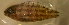  ( - ok04sr180)  @12 [ ] CreativeCommons - Attribution Non-Commercial Share-Alike (2012) Benjamin Victor Benjamin Victor