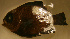  ( - ok403dt117)  @13 [ ] CreativeCommons - Attribution Non-Commercial Share-Alike (2012) Benjamin Victor Benjamin Victor
