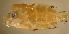  ( - pal83011ca226)  @12 [ ] CreativeCommons - Attribution Non-Commercial Share-Alike (2012) Benjamin Victor Benjamin Victor