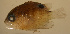  ( - pp9201sf120)  @12 [ ] CreativeCommons - Attribution Non-Commercial Share-Alike (2012) Benjamin Victor Benjamin Victor