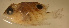  ( - pp9201sf143)  @12 [ ] CreativeCommons - Attribution Non-Commercial Share-Alike (2012) Benjamin Victor Benjamin Victor