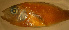  ( - rang12lx287)  @12 [ ] CreativeCommons - Attribution Non-Commercial Share-Alike (2012) Benjamin Victor Benjamin Victor