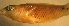  ( - rangst260)  @12 [ ] CreativeCommons - Attribution Non-Commercial Share-Alike (2012) Benjamin Victor Benjamin Victor