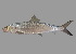  ( - soc18045)  @11 [ ] by-nc-sa (2022) Sergey Bogorodsky Sergey Bogorodsky