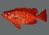  ( - soc19352)  @11 [ ] by-nc-sa (2022) Sergey Bogorodsky Sergey Bogorodsky