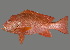 ( - soc19441)  @11 [ ] by-nc-sa (2022) Sergey Bogorodsky Sergey Bogorodsky