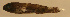  ( - st955b78)  @12 [ ] CreativeCommons - Attribution Non-Commercial Share-Alike (2011) Benjamin Victor Benjamin Victor
