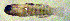  ( - u872ep80)  @12 [ ] CreativeCommons - Attribution Non-Commercial Share-Alike (2014) Benjamin Victor Benjamin Victor