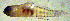  ( - u872ep97)  @12 [ ] CreativeCommons - Attribution Non-Commercial Share-Alike (2014) Benjamin Victor Benjamin Victor