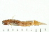  ( - HBL-LI-2001-139)  @12 [ ] CreativeCommons - Attribution (2008) Unspecified Centre for Biodiversity Genomics