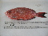  ( - UG0001)  @13 [ ] CreativeCommons - Attribution (2009) Unspecified Centre for Biodiversity Genomics
