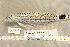  ( - UG0058)  @13 [ ] CreativeCommons - Attribution (2009) Unspecified Centre for Biodiversity Genomics