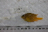  ( - UG0006)  @11 [ ] CreativeCommons - Attribution (2009) Unspecified Centre for Biodiversity Genomics