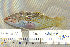  ( - UG0060)  @13 [ ] CreativeCommons - Attribution (2009) Unspecified Centre for Biodiversity Genomics