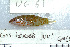  ( - UG0061)  @13 [ ] CreativeCommons - Attribution (2009) Unspecified Centre for Biodiversity Genomics