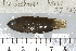  ( - UG0067)  @13 [ ] CreativeCommons - Attribution (2009) Unspecified Centre for Biodiversity Genomics