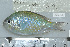  ( - UG0068)  @11 [ ] CreativeCommons - Attribution (2009) Unspecified Centre for Biodiversity Genomics