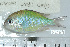  ( - UG0073)  @11 [ ] CreativeCommons - Attribution (2009) Unspecified Centre for Biodiversity Genomics