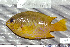  ( - UG0091)  @13 [ ] CreativeCommons - Attribution (2009) Unspecified Centre for Biodiversity Genomics