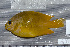  ( - UG0093)  @14 [ ] CreativeCommons - Attribution (2009) Unspecified Centre for Biodiversity Genomics