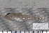  ( - UG0095)  @12 [ ] CreativeCommons - Attribution (2009) Unspecified Centre for Biodiversity Genomics