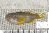  ( - UG0097)  @14 [ ] CreativeCommons - Attribution (2009) Unspecified Centre for Biodiversity Genomics