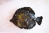  ( - UG0010)  @11 [ ] CreativeCommons - Attribution (2009) Unspecified Centre for Biodiversity Genomics