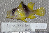  ( - UG0134)  @13 [ ] CreativeCommons - Attribution (2009) Unspecified Centre for Biodiversity Genomics