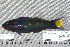  ( - UG0138)  @13 [ ] CreativeCommons - Attribution (2009) Unspecified Centre for Biodiversity Genomics