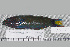  ( - UG0139)  @12 [ ] CreativeCommons - Attribution (2009) Unspecified Centre for Biodiversity Genomics