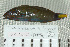  ( - UG0140)  @13 [ ] CreativeCommons - Attribution (2009) Unspecified Centre for Biodiversity Genomics