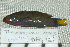  ( - UG0141)  @12 [ ] CreativeCommons - Attribution (2009) Unspecified Centre for Biodiversity Genomics