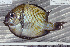  ( - UG0144)  @13 [ ] CreativeCommons - Attribution (2009) Unspecified Centre for Biodiversity Genomics