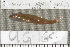  ( - UG0169)  @13 [ ] CreativeCommons - Attribution (2009) Unspecified Centre for Biodiversity Genomics