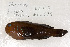  ( - UG0175)  @13 [ ] CreativeCommons - Attribution (2009) Unspecified Centre for Biodiversity Genomics