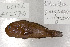  ( - UG0176)  @12 [ ] CreativeCommons - Attribution (2009) Unspecified Centre for Biodiversity Genomics