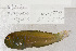  ( - UG0178)  @11 [ ] CreativeCommons - Attribution (2009) Unspecified Centre for Biodiversity Genomics