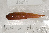  ( - UG0198)  @13 [ ] CreativeCommons - Attribution (2009) Unspecified Centre for Biodiversity Genomics