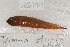  ( - UG0199)  @13 [ ] CreativeCommons - Attribution (2009) Unspecified Centre for Biodiversity Genomics
