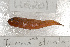  ( - UG0201)  @12 [ ] CreativeCommons - Attribution (2009) Unspecified Centre for Biodiversity Genomics